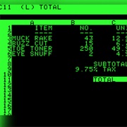 1981: Spreadsheet