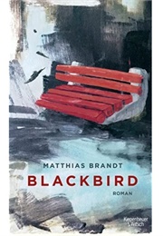 Blackbird (Matthias Brandt)