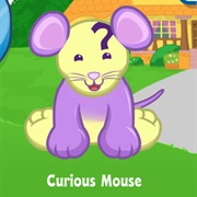 Curious Mouse