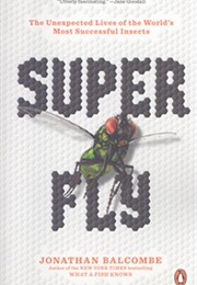 Super Fly: The Unexpected Lives of the World&#39;s Most Successful Insects (Jonathan Balcombe)