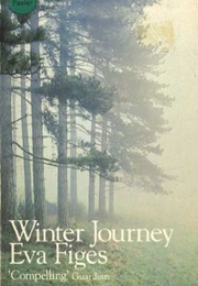 Winter Journey (Eva Figes)