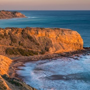 Abalone Cove Shoreline Park