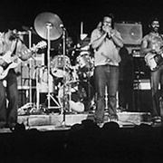 James Cotton Blues Band