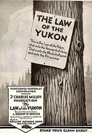 The Law of the Yukon (1920)