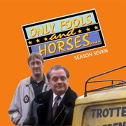 Only Fools and Horses: Series 7