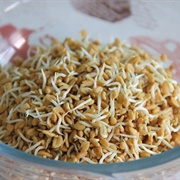 Fenugreek Sprouts