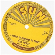 I Forgot to Remember to Forget - Elvis Presley