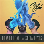 How to Love - Cash Cash, Sofia Reyes