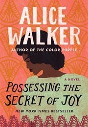 Possessing the Secret of Joy (Alice Walker)