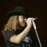 Searching - Lynyrd Skynyrd