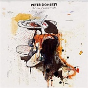 I Am the Rain - Peter Doherty