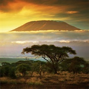 Kilimanjaro