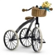 Samantha&#39;s Three-Wheeled Bicycle