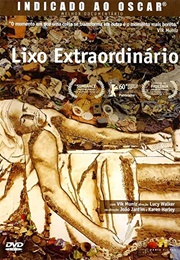 Lixo Extraordinário (2010)