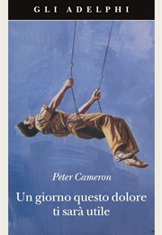 Un Giorno Questo Dolore Ti Sarà Utile (Peter Cameron)