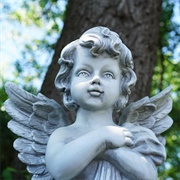 Cherub