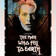 The Man Who Fell to Earth (1976)