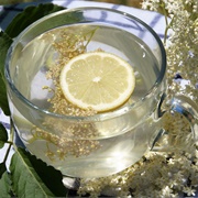 Fresh Elderflower Tea With Lemon