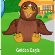 Golden Eagle