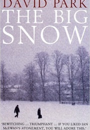 The Big Snow (David Park)