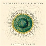 Medeski, Martin &amp; Wood - Radiolarians III