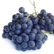 Concord Grapes