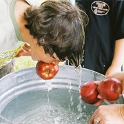 Bobbed for Apples