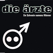 Männer Sind Schweine - Die Ärzte