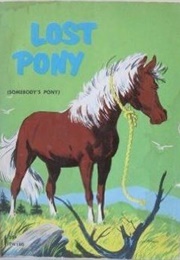 Lost Pony (Nancy Caffrey)