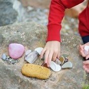 Collect Seashells or Rocks