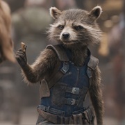 The Rocket Raccoon