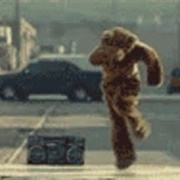 Breakdancing Bear