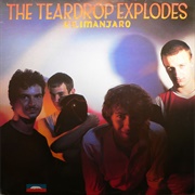 Kilimanjaro - The Teardrop Explodes