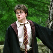 Harry Potter, &#39;Harry Potter&#39; Film Series