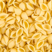 Shell Pasta