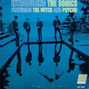 Introducing the Sonics - The Sonics