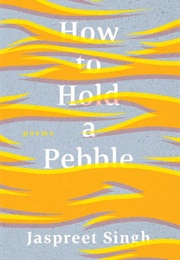 How to Hold a Pebble (Jaspreet Singh)