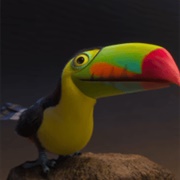 Pico the Toucan