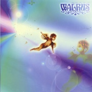 Walrus - 光のカケラ