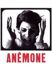 Anémone (1968)