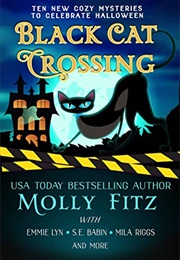 Black Cat Crossing (Molly Fitz)