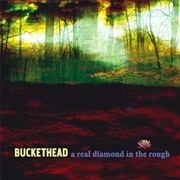 A Real Diamond in the Rough (Buckethead, 2009)