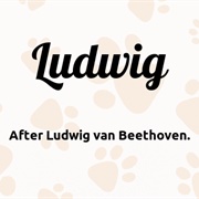 Ludwig