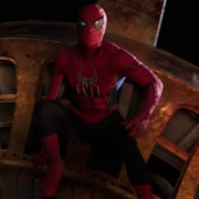T Spider-Man