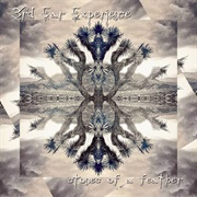 3rd Ear Experience - Stones of a Feather