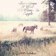 Sometimes I Wish We Were an Eagle - Bill Callahan