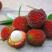 Pulasan