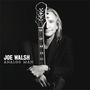 Joe Walsh - Analogue Man