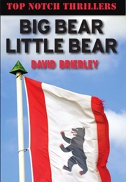 Big Bear Little Bear (Brierly)