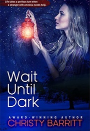 Wait Until Dark (Christy Barritt)